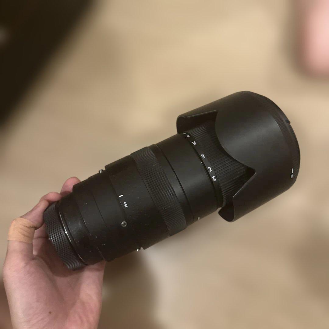 レンズ(ズーム) SIGMA 50-500mm F4.5-6.3 APO DG OS