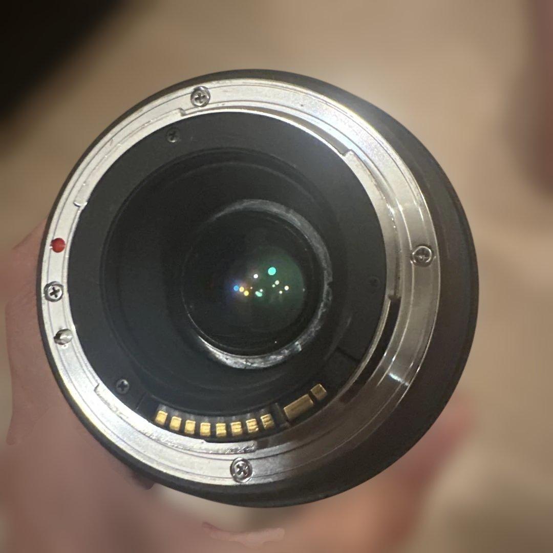 レンズ(ズーム) SIGMA 50-500mm F4.5-6.3 APO DG OS