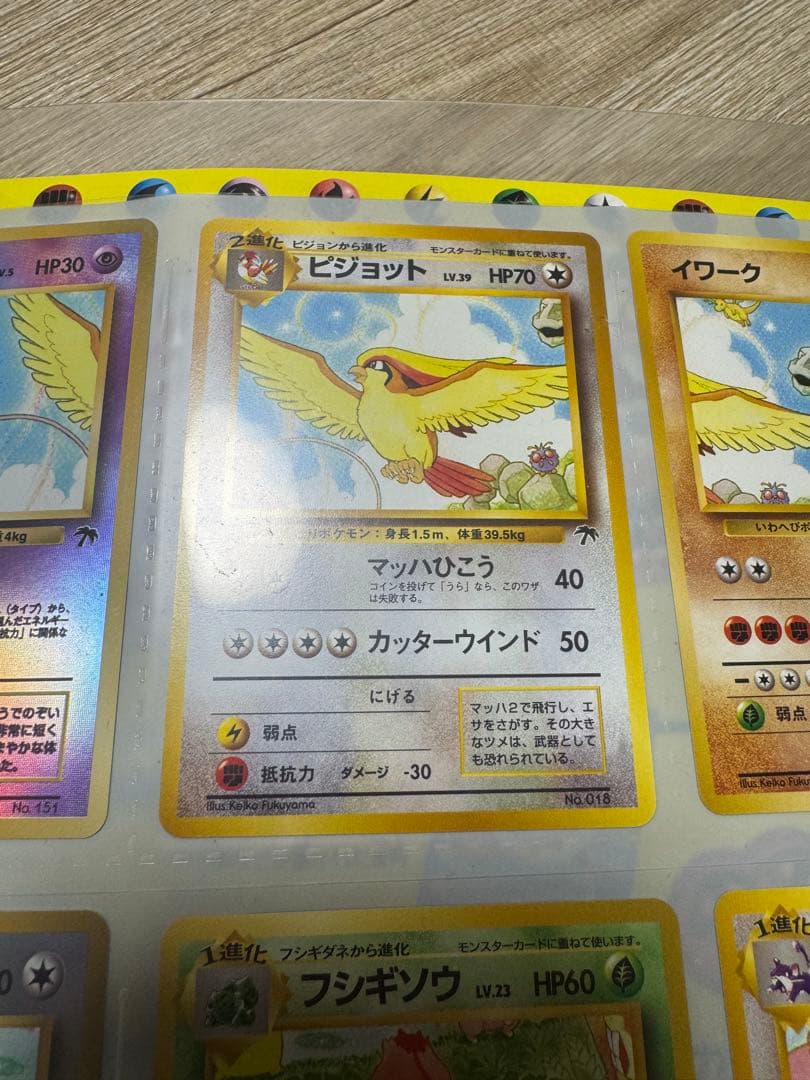 【美品】希少！レインボーアイランド サザンアイランド ポケモンカードゲーム