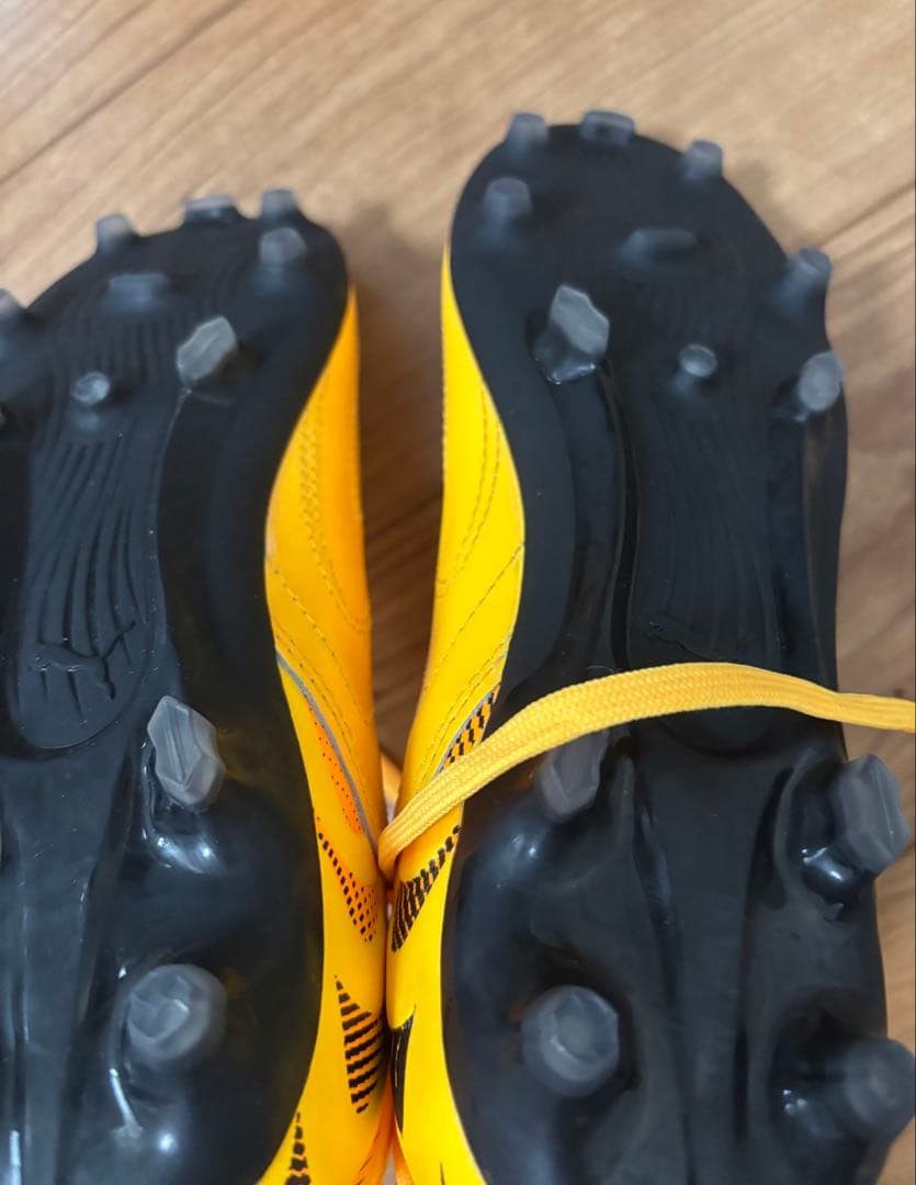 モコ様専用 川澄奈穂美選手 サイン入りスパイク - メルカリ