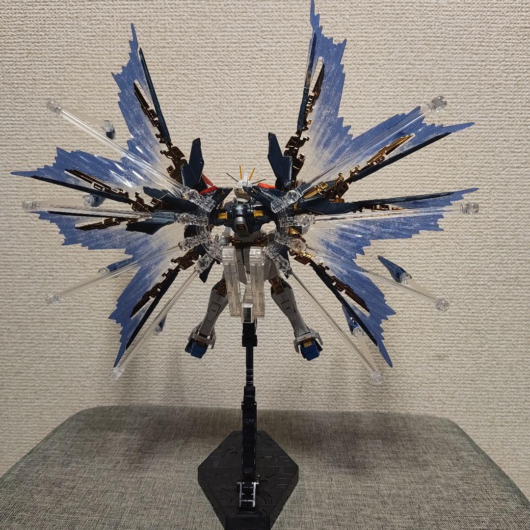 RG　ストライクフリーダム　チタニウムフィニッシュ 天空の翼　セット