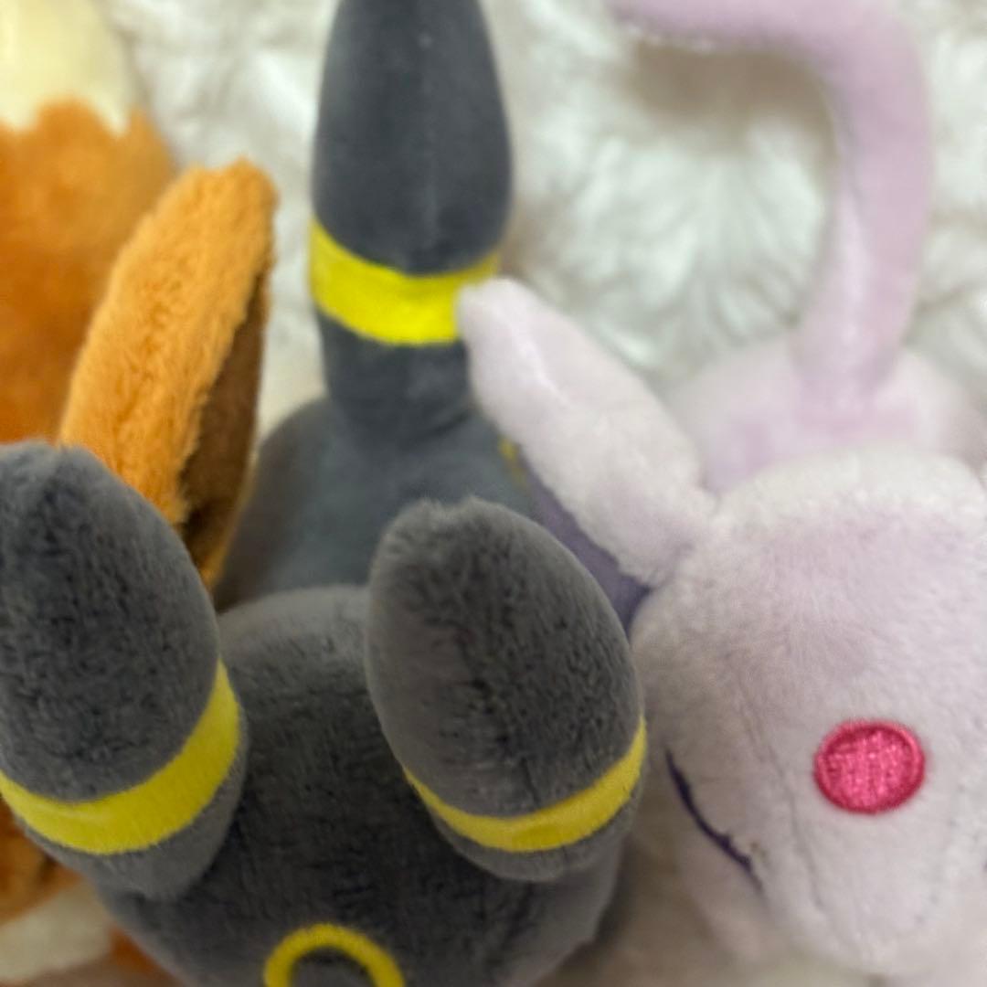 希少 ポケモン キャンバス イーブイ ブラッキー エーフィ セット 2009