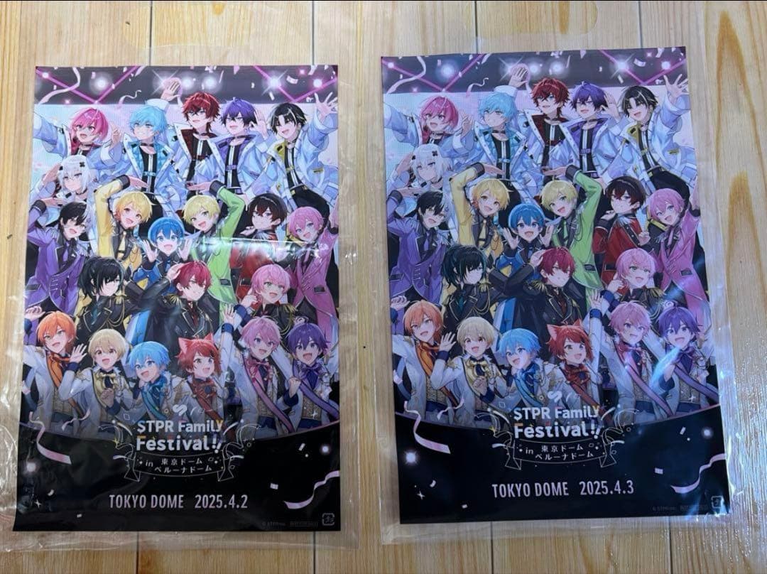 すとふぇす 東京ドーム リンライ ベルーナ ショッパーチケットファイル