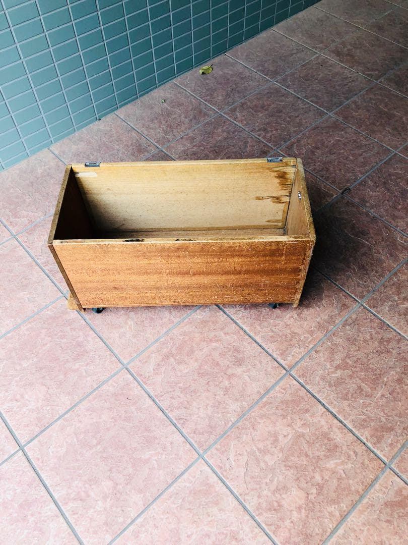 藤義丸キワカンナ右36ミリ