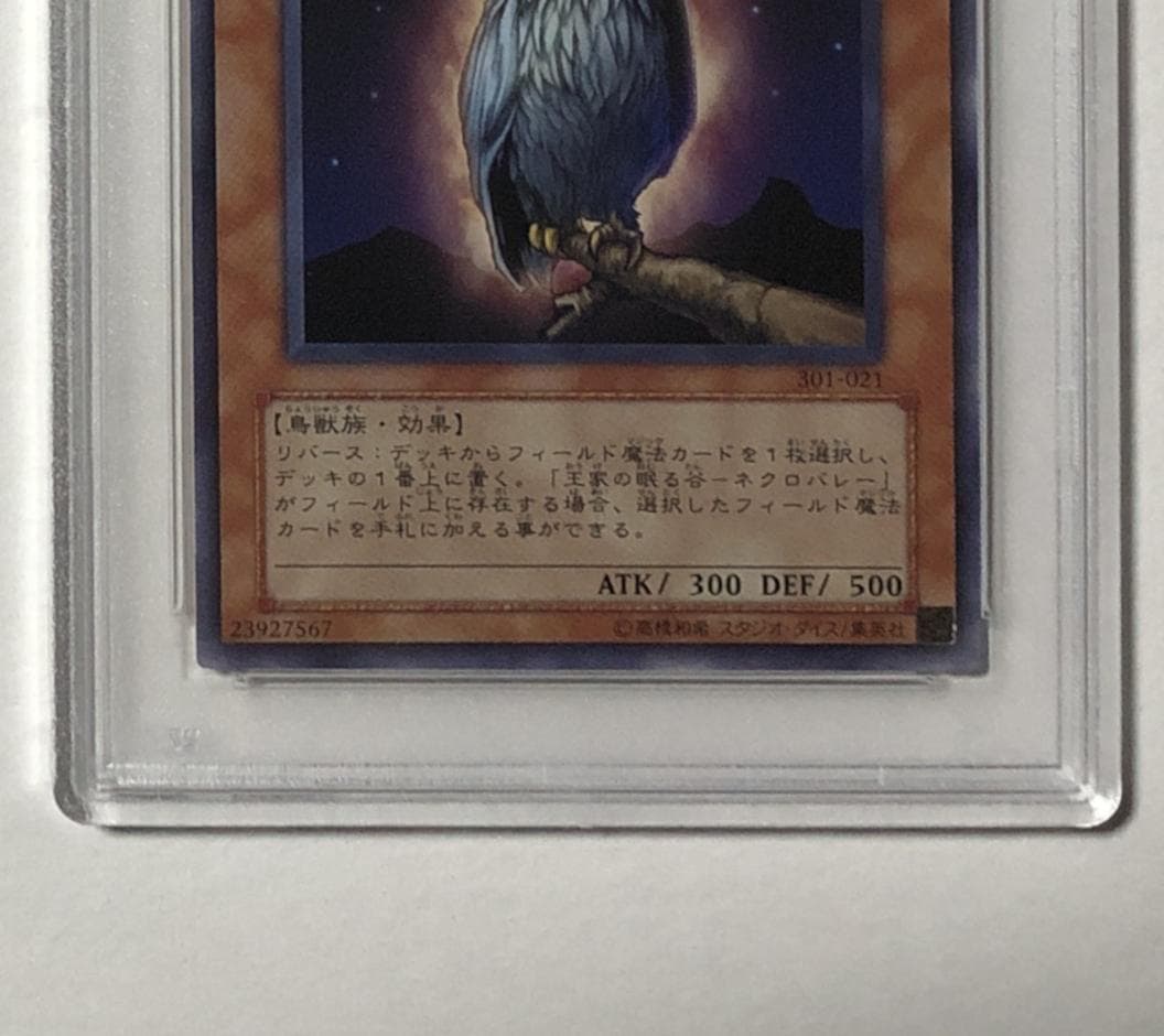 遊戯王 不幸を告げる黒猫 PSA10 301-018【２点セット】