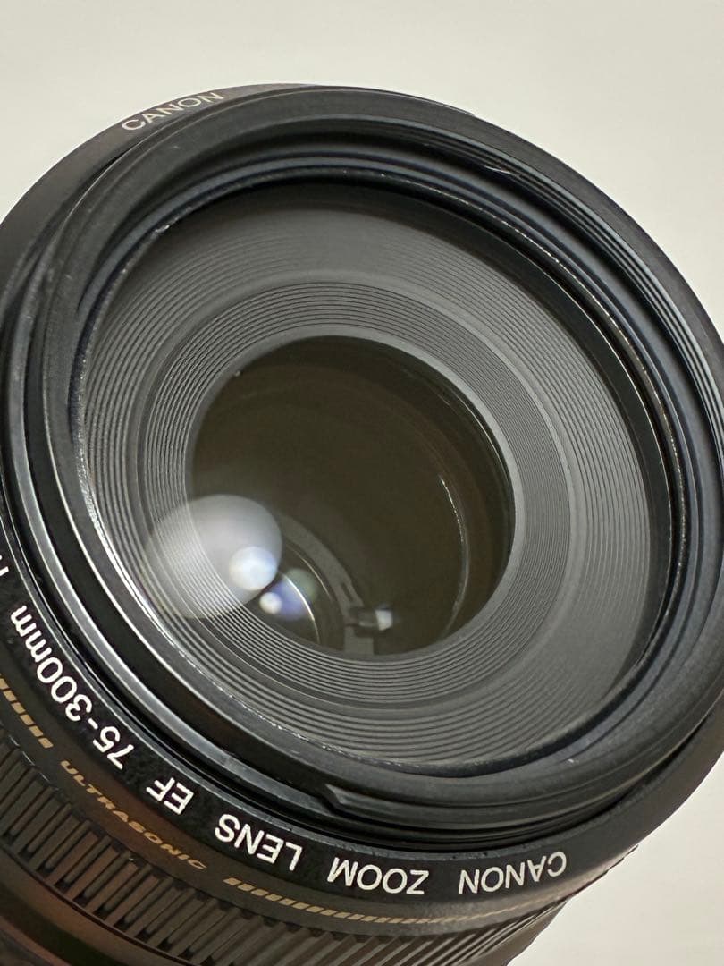 ⭐️美品⭐️キャノン Canon EF 75-300 F/4-5.6 IS USM