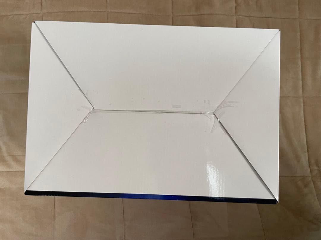 一番くじ 新世紀エヴァンゲリオン ラストワン賞 おまけ付き