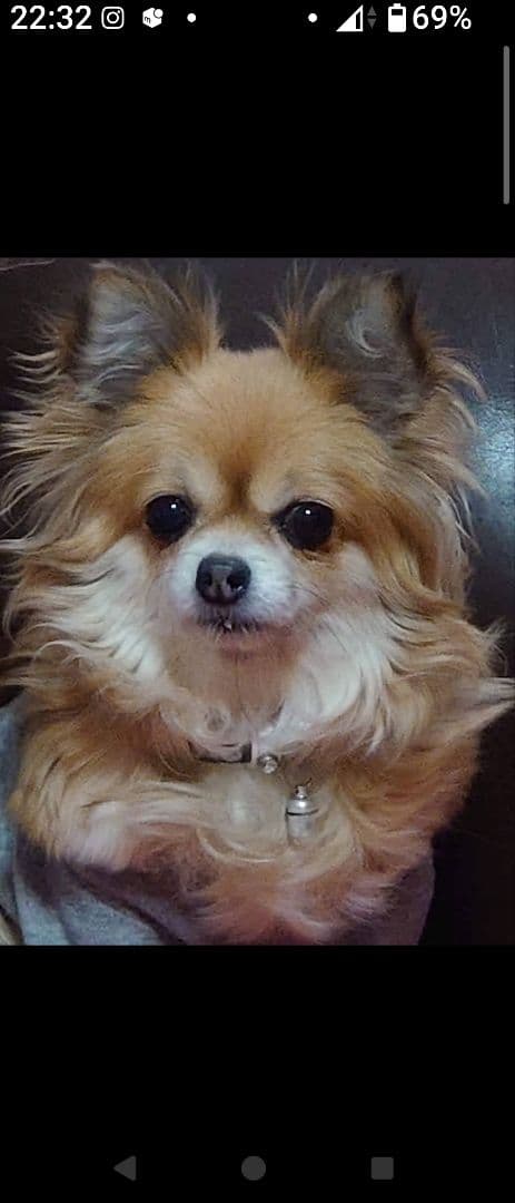 そらちゃんとくうちゃんの写真