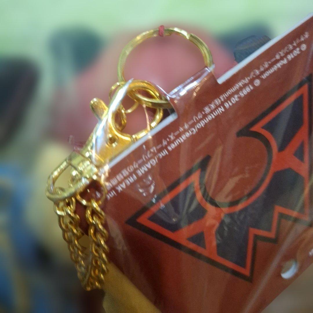 団員ごっこ　ピカチュウ　マスコット　ぬいぐるみ　アクア　マグマ　ポケモンセンター