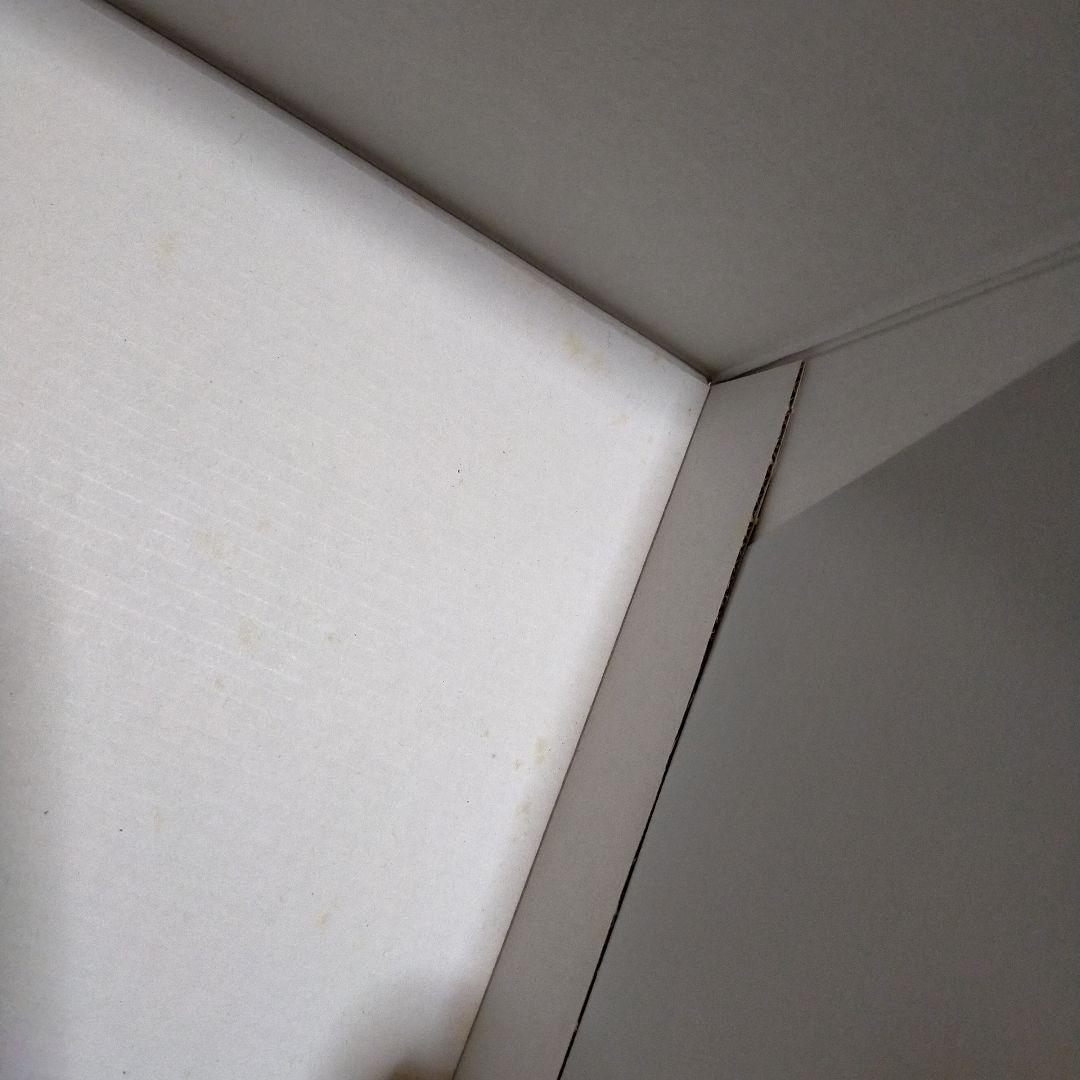 白タグ 招き猫 開運 招福 15tcm Steiff シュタイフ 証明書付