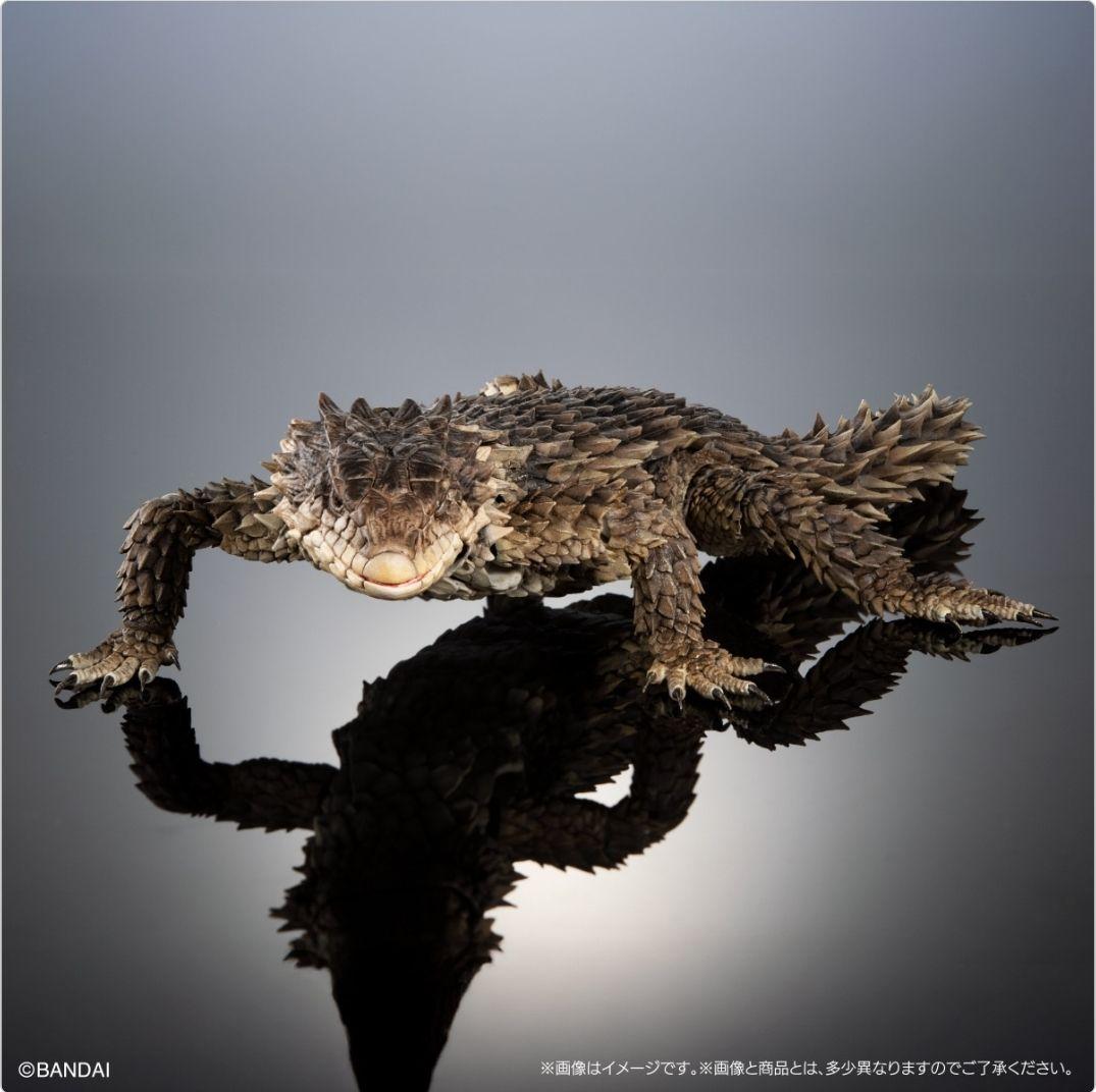 オオヨロイトカゲ いきもの大図鑑ultimate