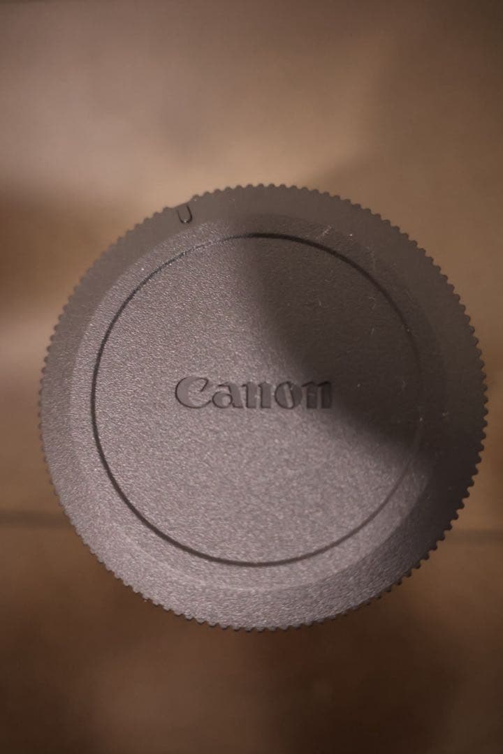 RF-S 18-45mm F4.5-6.3 IS STM 美品 RFマウント