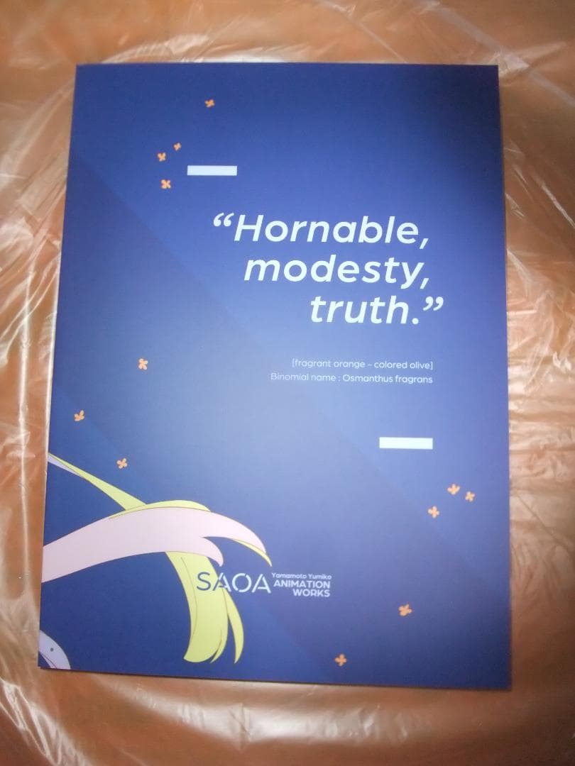 SAOA 鈴木豪 山本由美子 ANIMATION WORKSセット