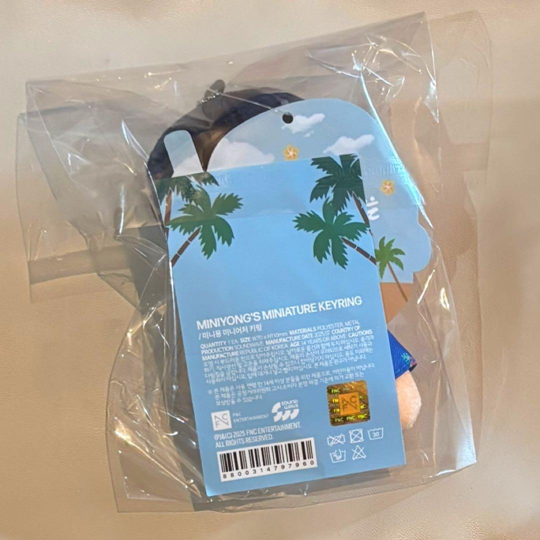 CNBLUE ヨンファ ミニヨン ぬいぐるみ ソロコン2025 - メルカリ