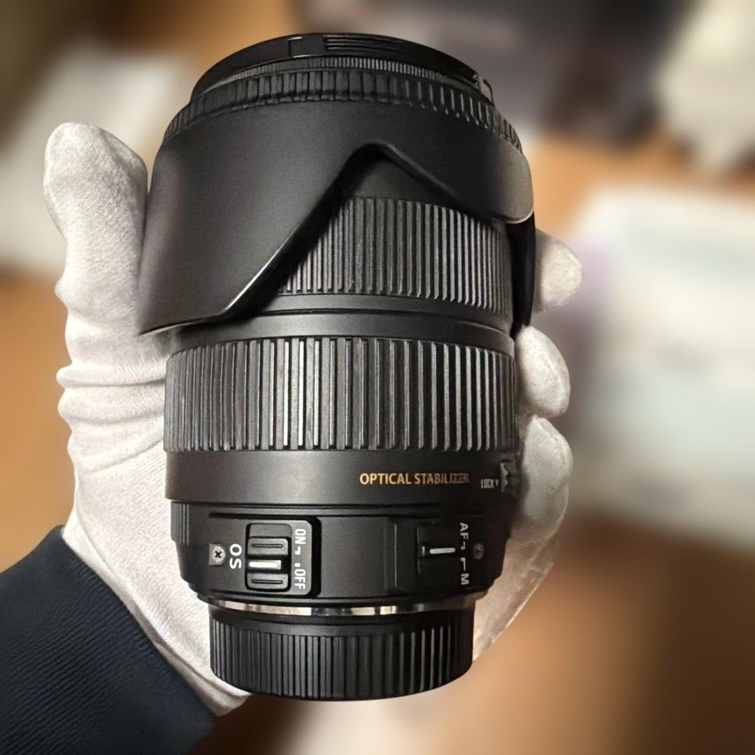 極美品 SIGMA 18-200mm F3.5-6.3 DC OS