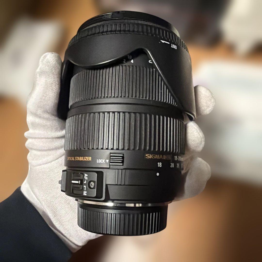 極美品 SIGMA 18-200mm F3.5-6.3 DC OS