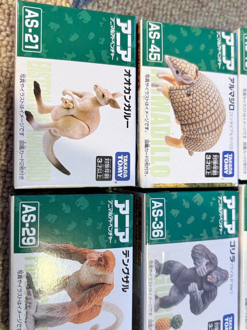 アニア 廃盤アニアセット