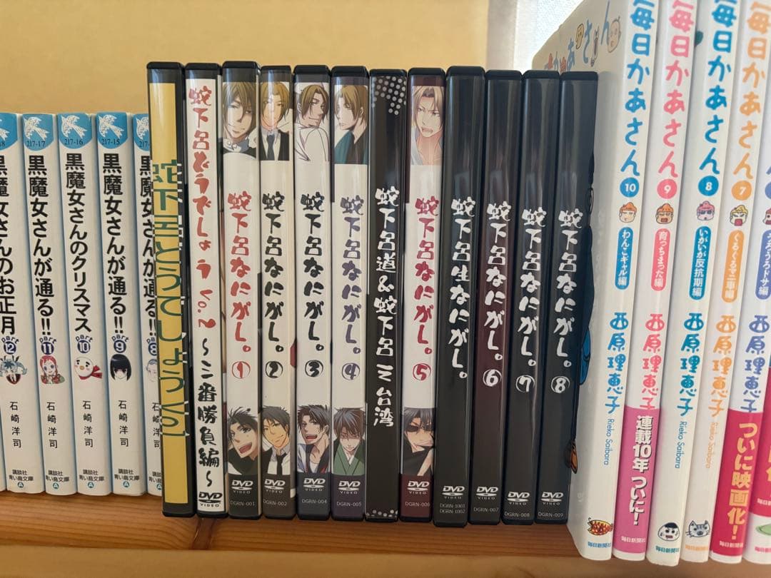 同人DVD　蛇下呂なにがし+蛇下呂どうでしょうDVD12本セット