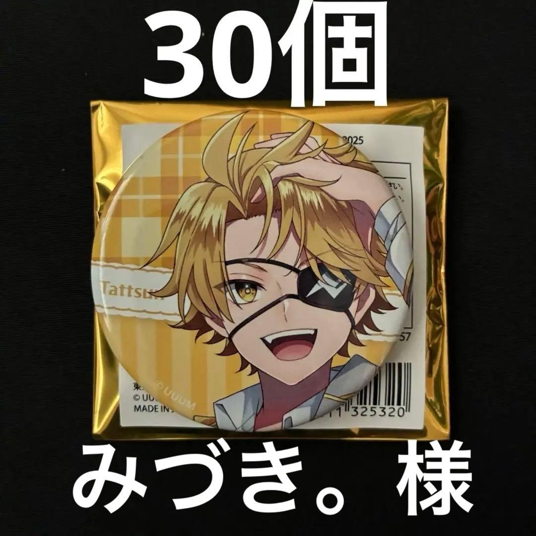 みづき。様 カラフルピーチ たっつん 缶バッジ30個 からぴちパラダイス