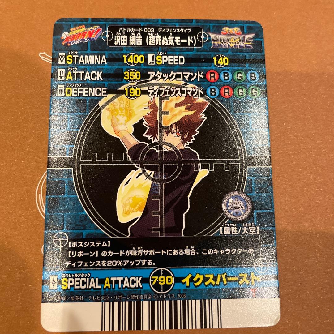 家庭教師ヒットマンREBORN サザンクロスバトル 超死ぬ気モード 沢田