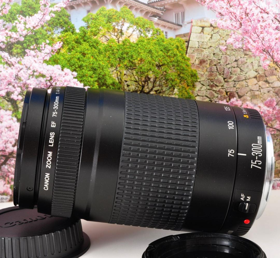 Canon キヤノン 望遠レンズ 迫力の75-300mm レンズフード付き！
