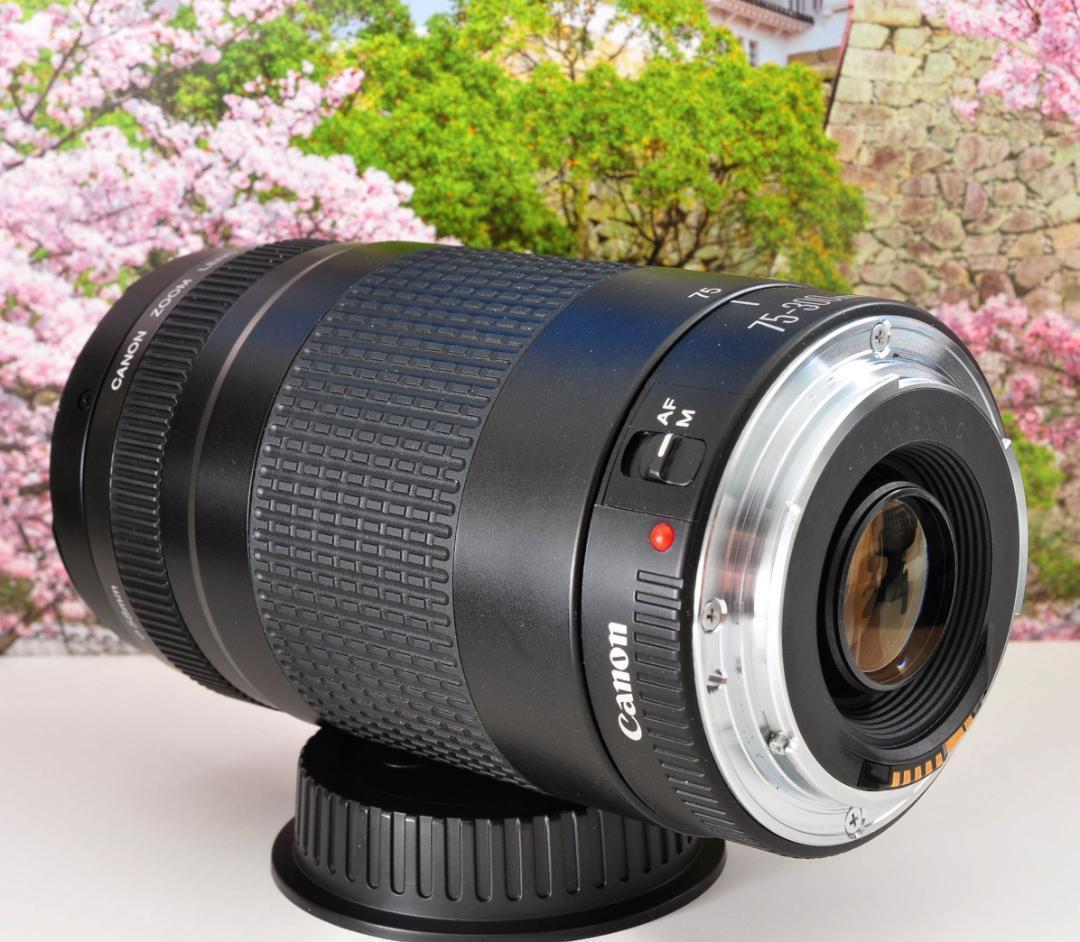 Canon キヤノン 望遠レンズ 迫力の75-300mm レンズフード付き！
