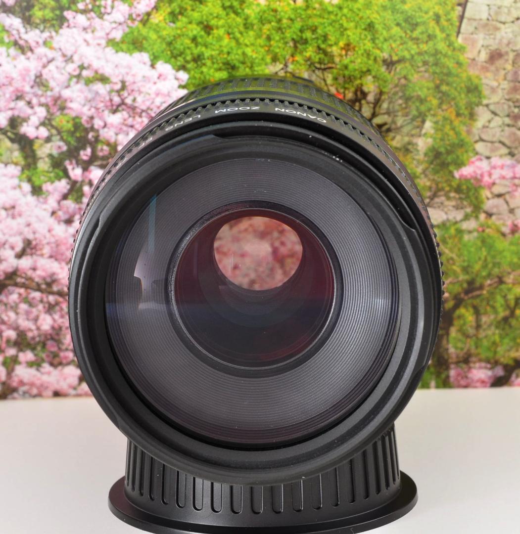 Canon キヤノン 望遠レンズ 迫力の75-300mm レンズフード付き！