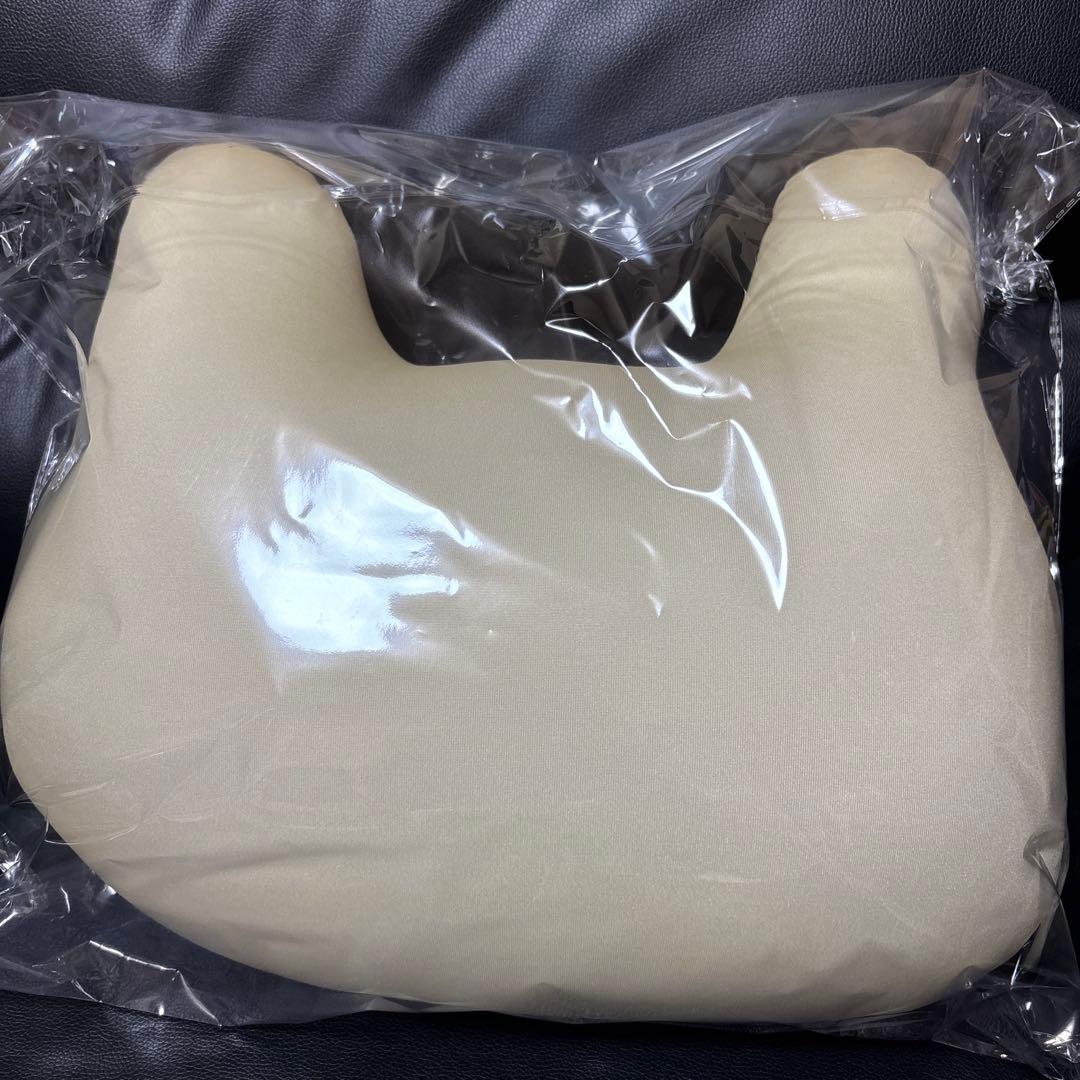 値下げ 未開封新品 かべちょろクッション レオナルド