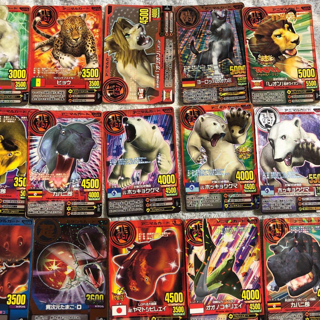 旧アニマルカイザー カード 35枚 - メルカリ