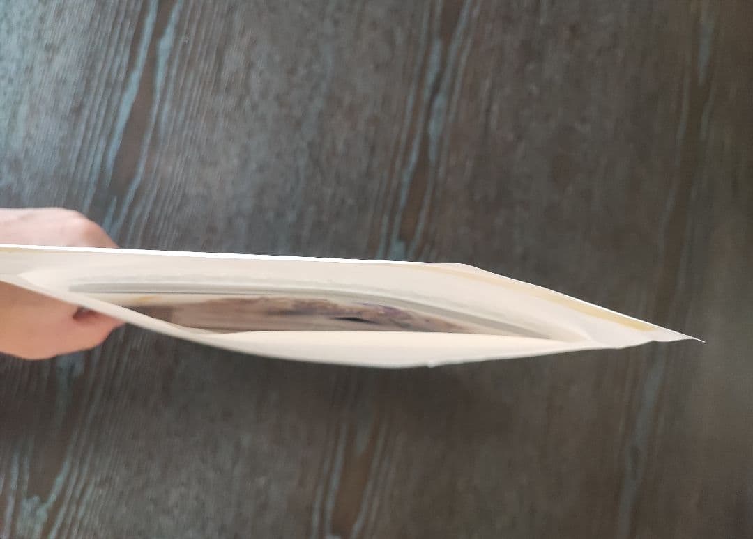 新品/未開封/未使用品 グラブルフェス2025 パンフレット