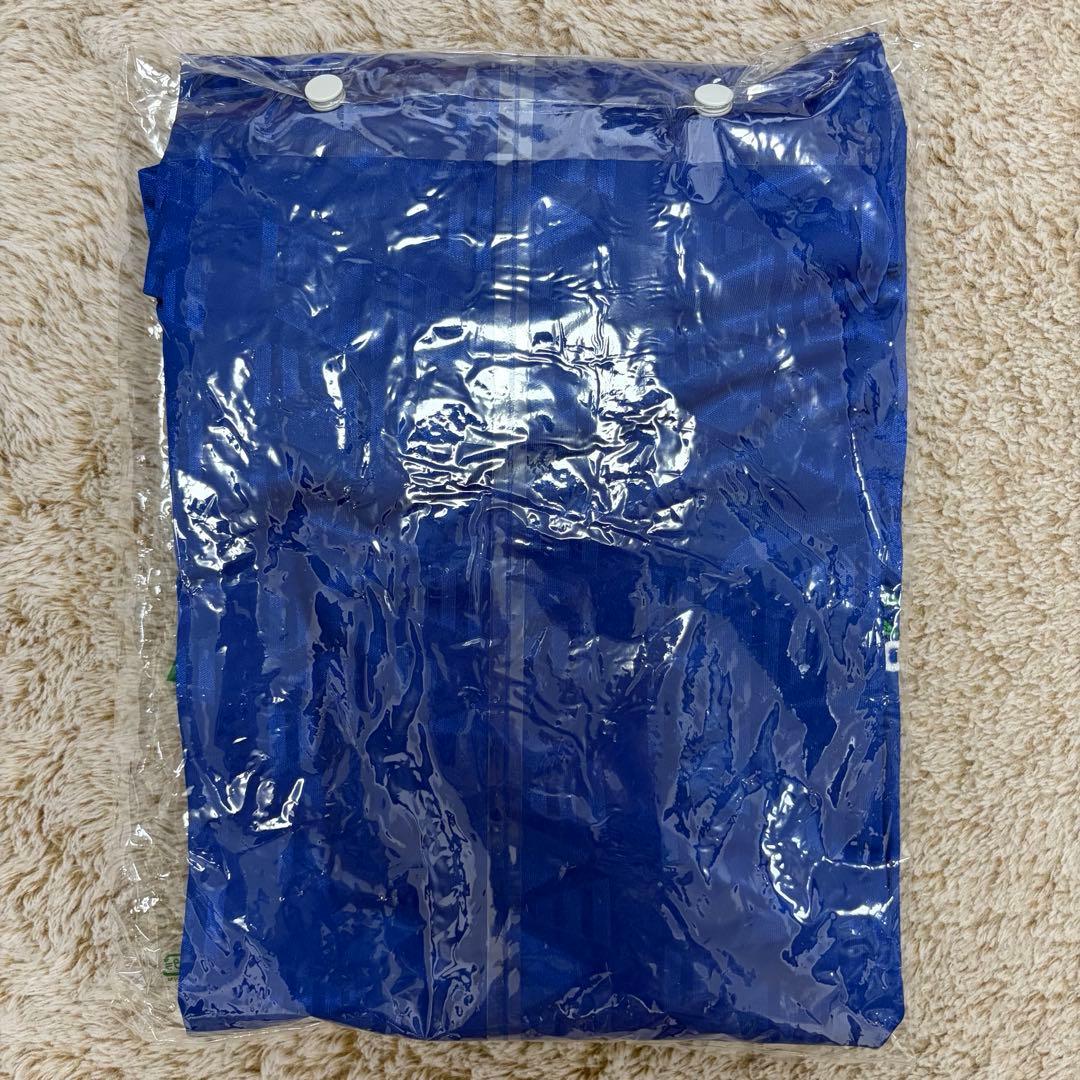 1994年イタリア代表ロベルトバッジョ DIADORA サッカー記念