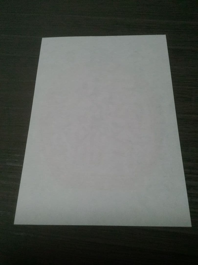 松本城 御城印 旧小笠原家朱印復刻版 お城EXPO2023 御朱印 登城記念