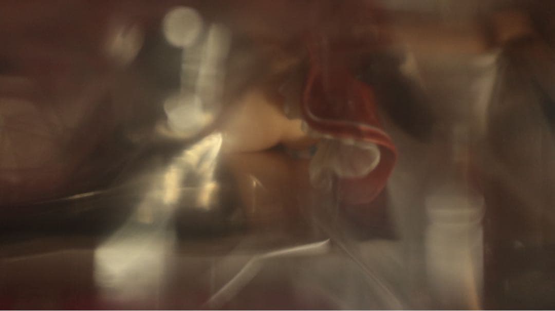 未開封品　迷い猫オーバーラン! 芹沢文乃　 霧谷希　美少女フィギュア