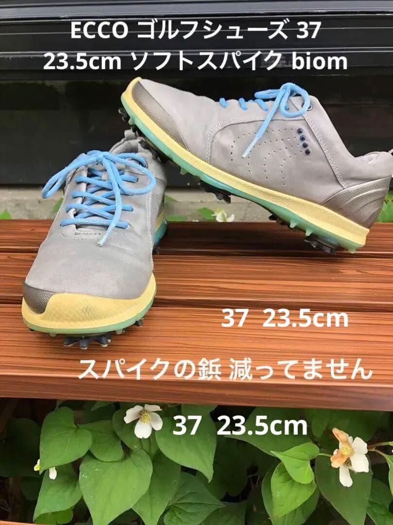 344番 ECCOゴルフシューズbiom グレー37 23.5cmソフトスパイク ecco ゴルフシューズ（スパイクタイプ：ソフトスパイク）｜ゴルフ