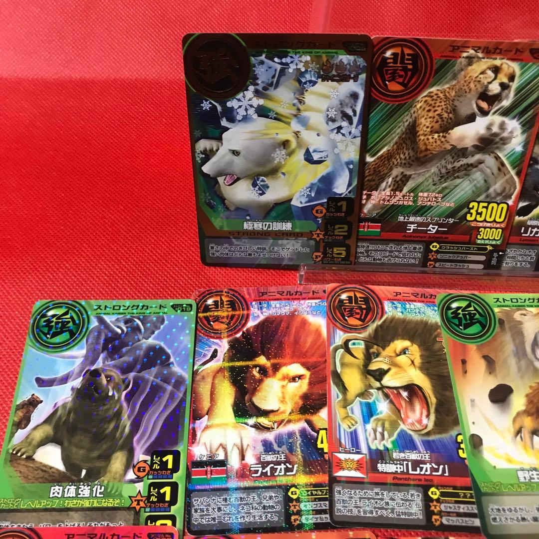 百獣大戦アニマルカイザー22枚のセット - メルカリ