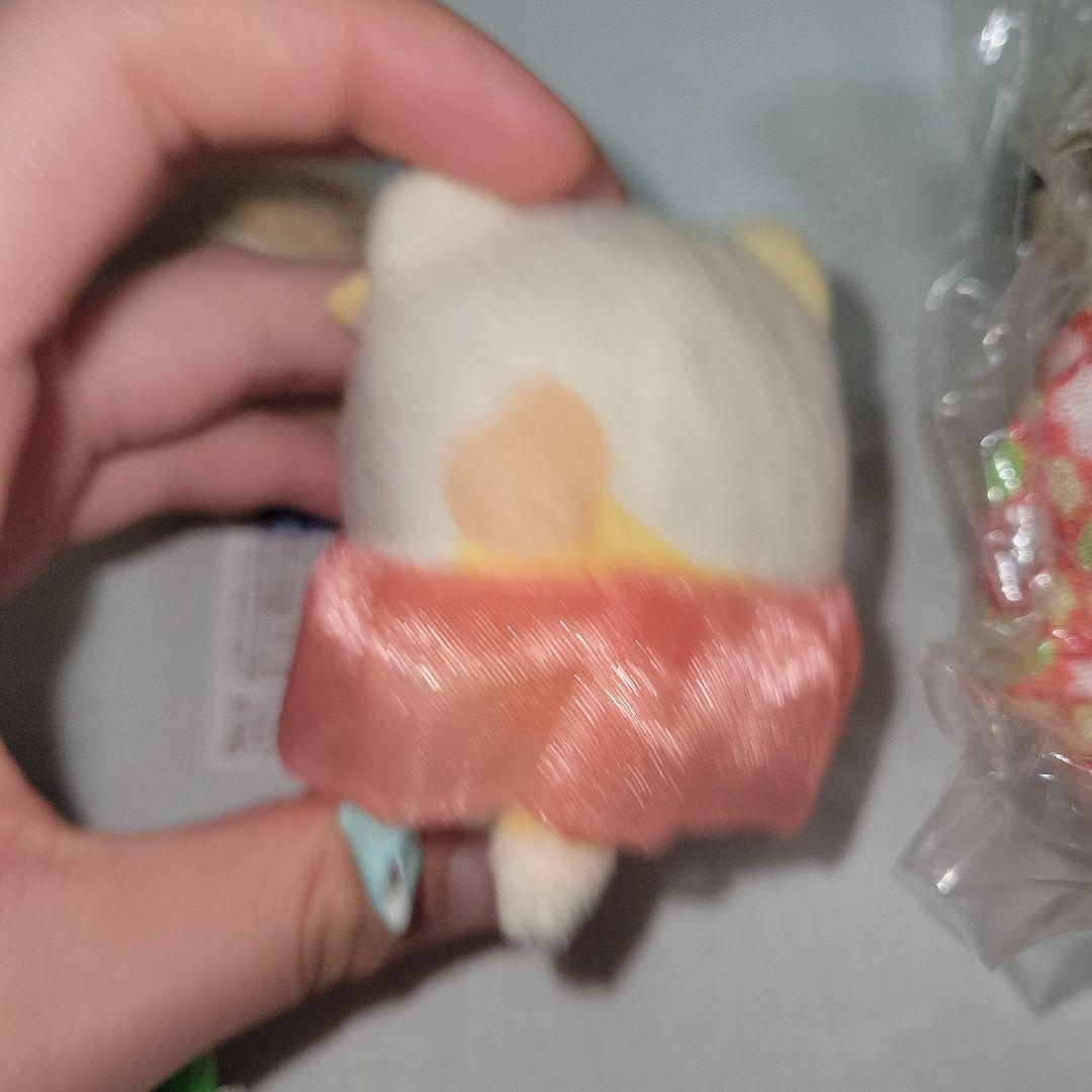 すみっコぐらし てのりぬいぐるみ かわうそ ぺんぎん ねこ とかげ(本物)