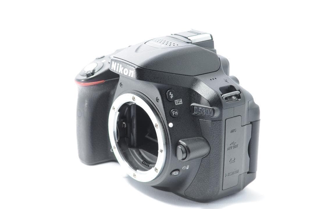 家族との想い出に❗️Nikon D5300✨Wi-Fiでスマホ転送 すぐに使える
