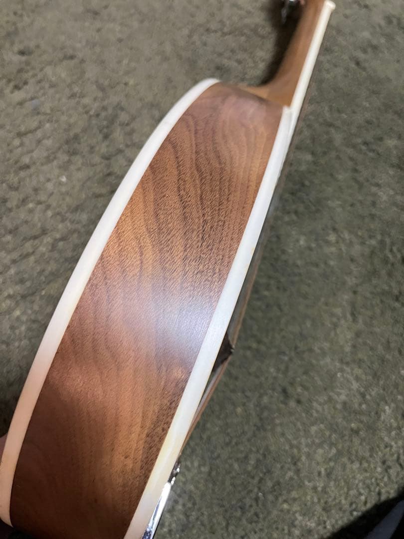 スーパーライトケース (マンドリン用) 色 / 茶・青・赤・黒