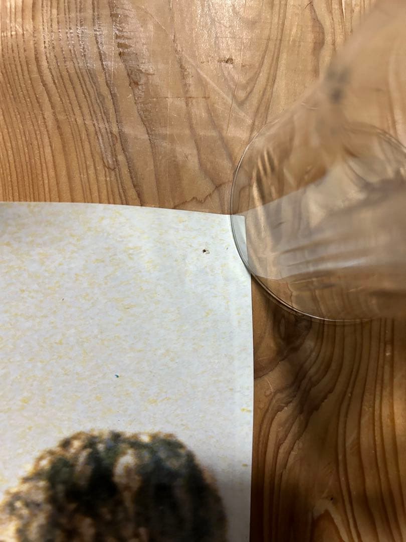 ジャン　リュック　ゴダールのポスター貴重　アニエスベー