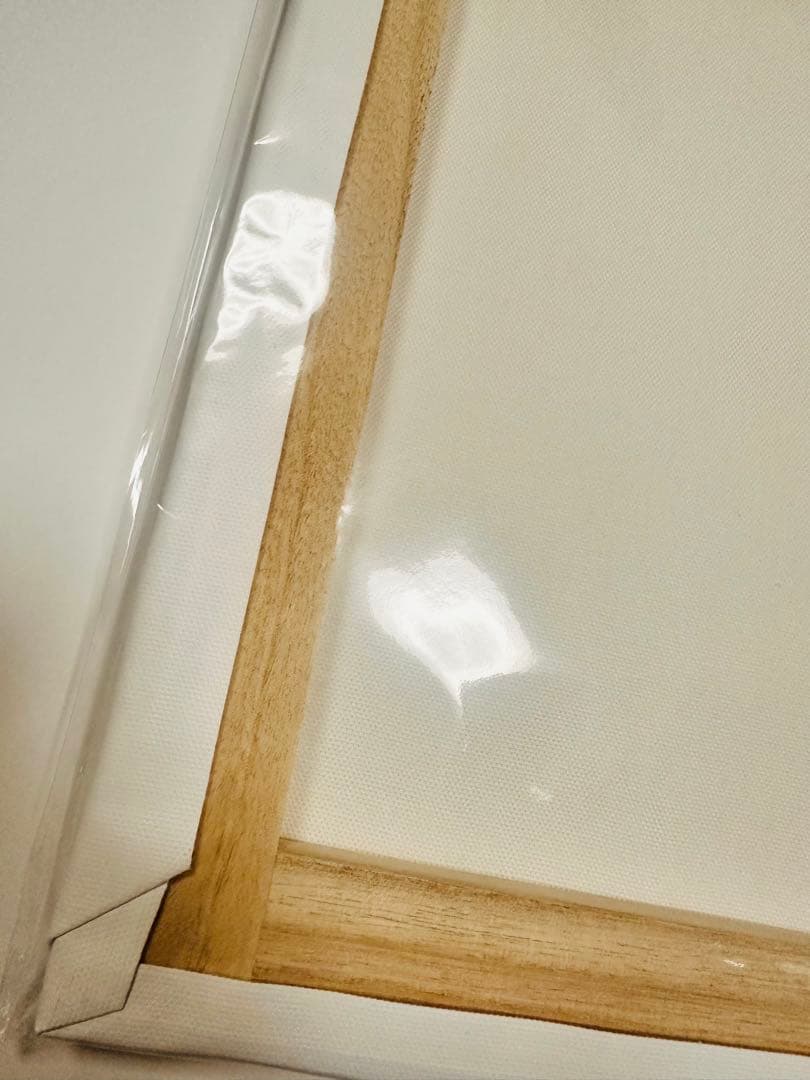 D.Gray-man アートボード アレン