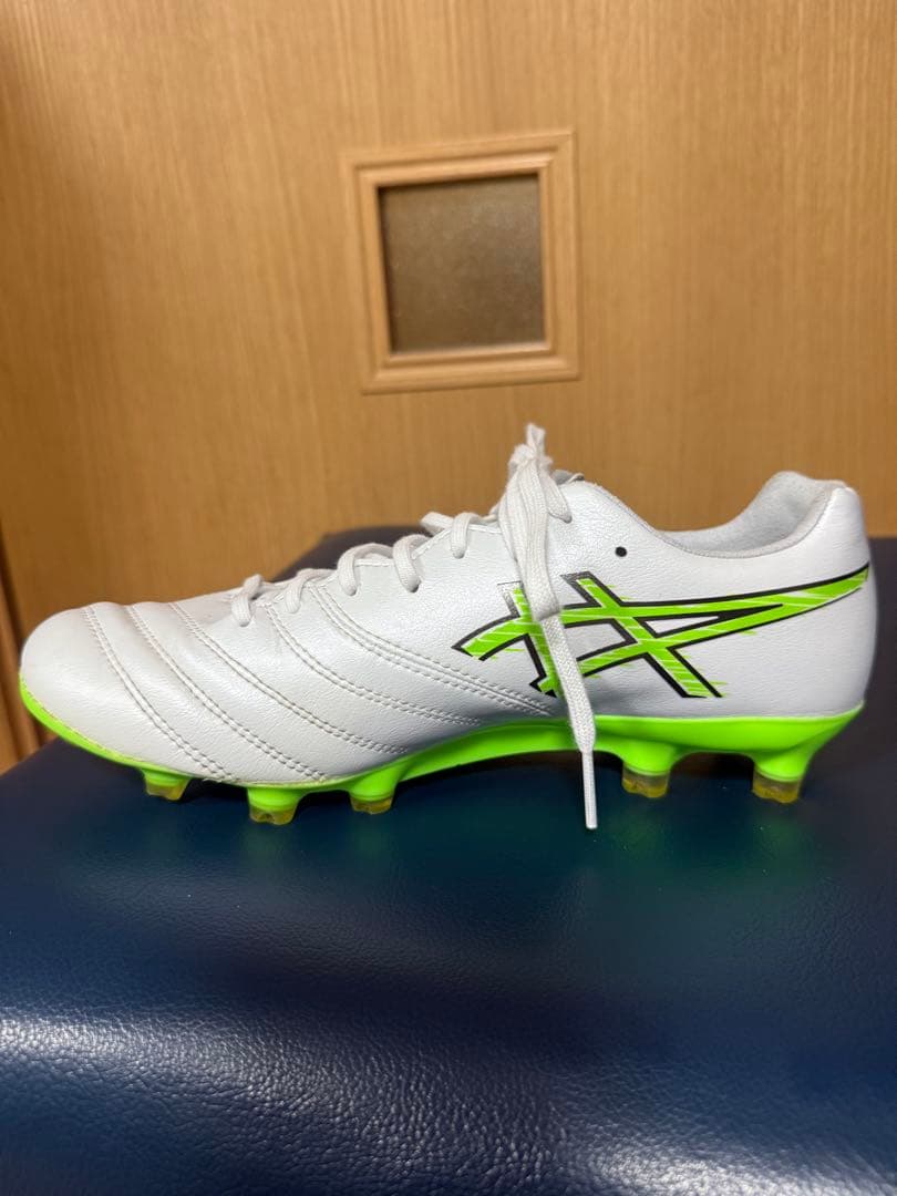 シューズ DS LIGHT X-FLY PRO3 24.5cm xfly pro3