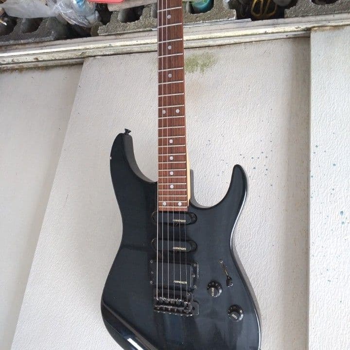 Fernandes エレキギター ブラック FERNANDES (フェルナンデス) エレキギター ブラック TEJ-STD