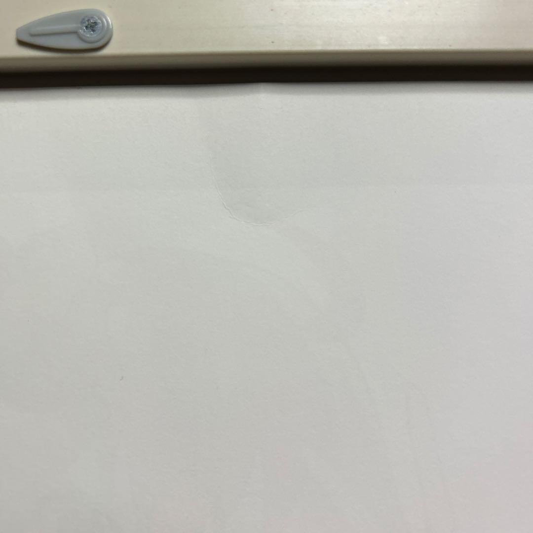 超激レア　LAM氏　サイン入り　複製原画　 Fate 異端なるセイレム