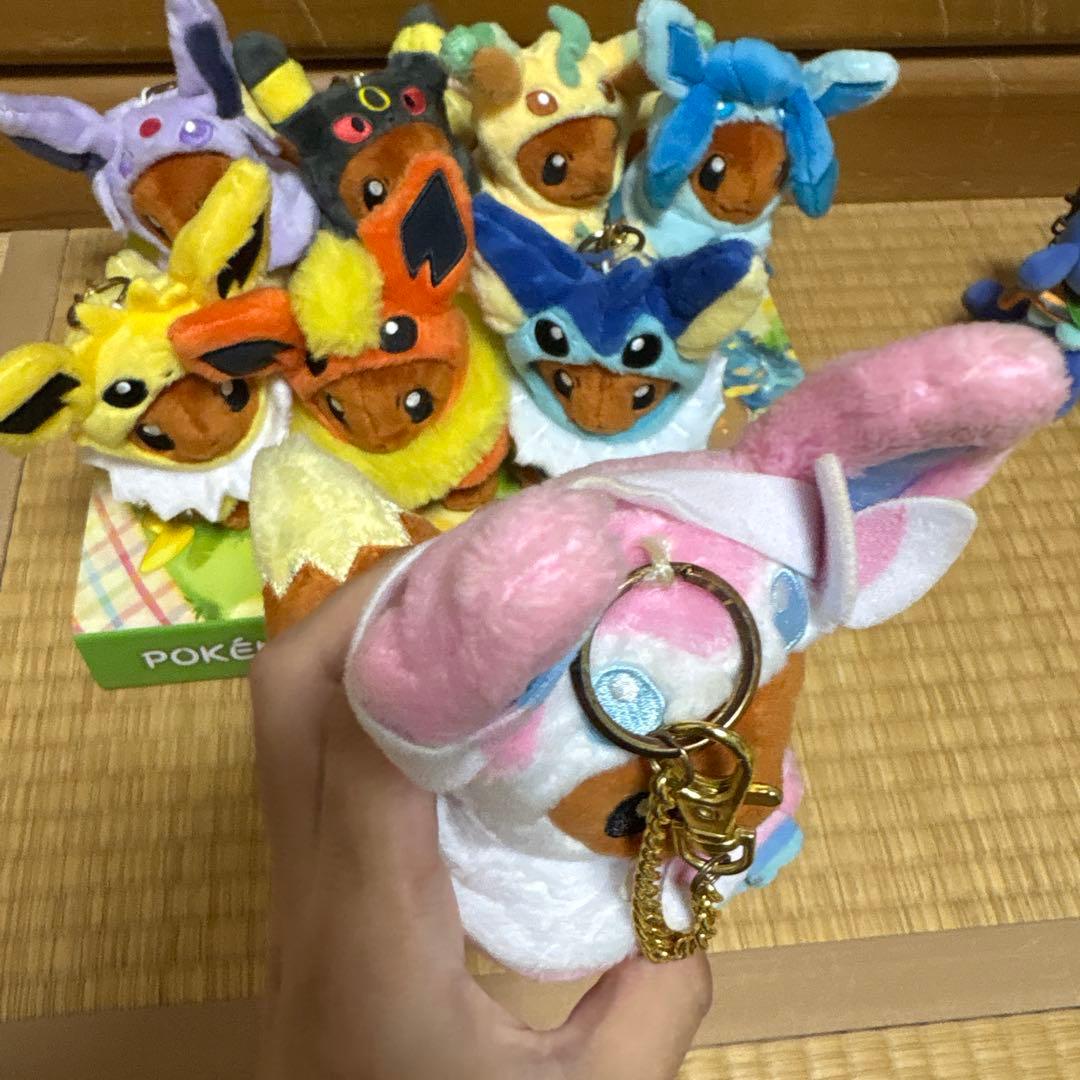 ポンチョを着たイーブイ 全種セット