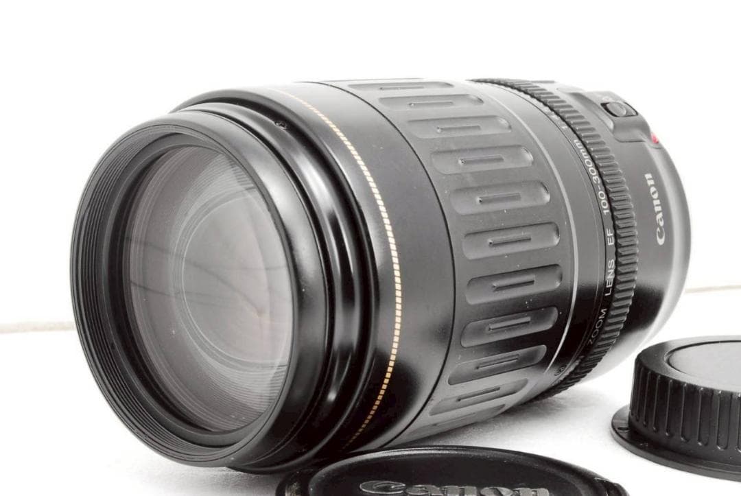 Canon EF 100-300mm F4.5-5.6 USM ✨ 超望遠レンズ