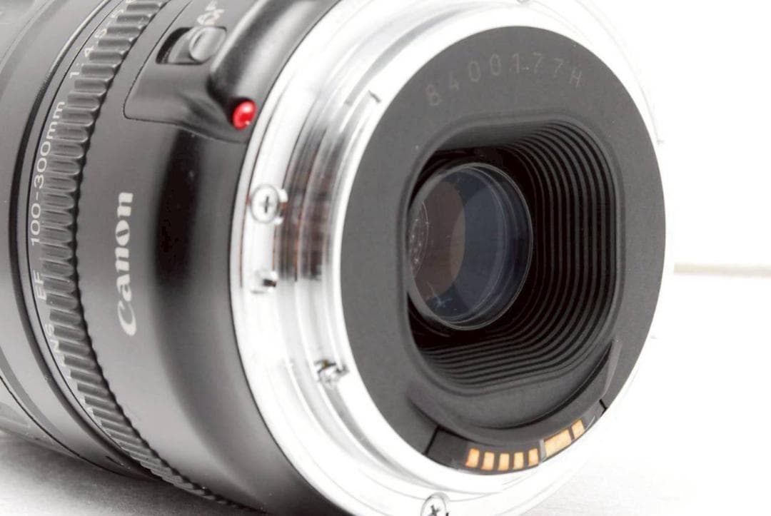 Canon EF 100-300mm F4.5-5.6 USM ✨ 超望遠レンズ