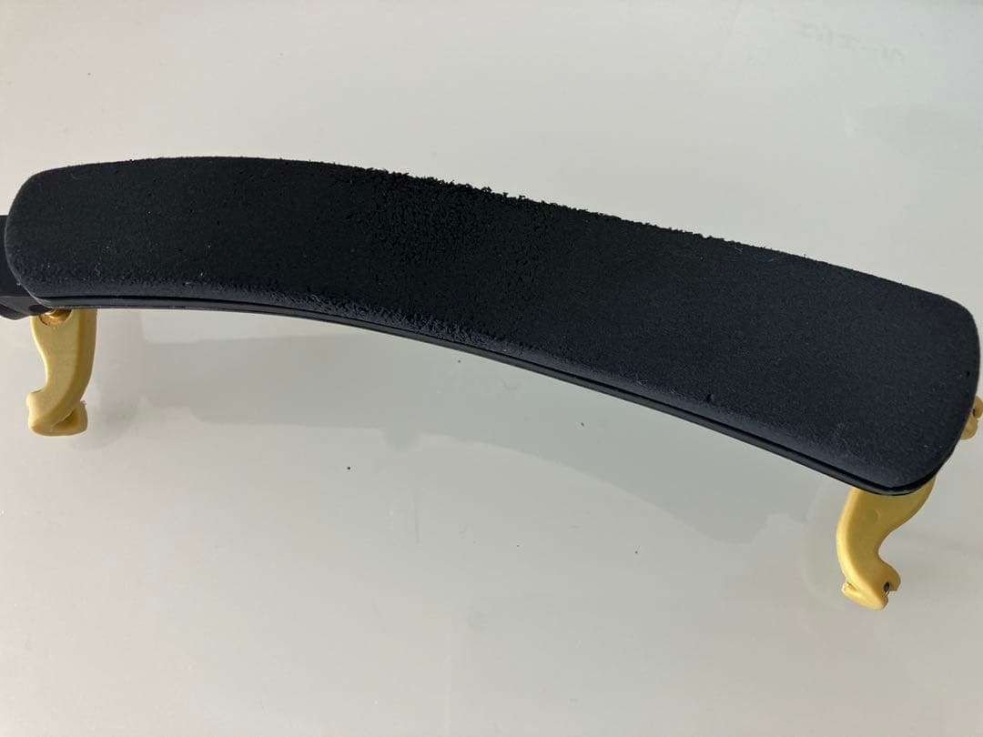 分数バイオリン 2022年製 Eastman VL80 3/4 バイオリン本体 - メルカリ