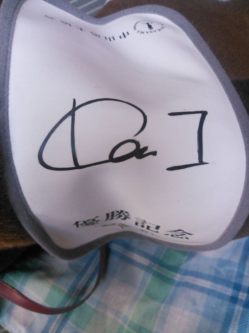 【完全レア】競馬 中山馬主協会 オルフェーヴル 池添騎手 サイン入り