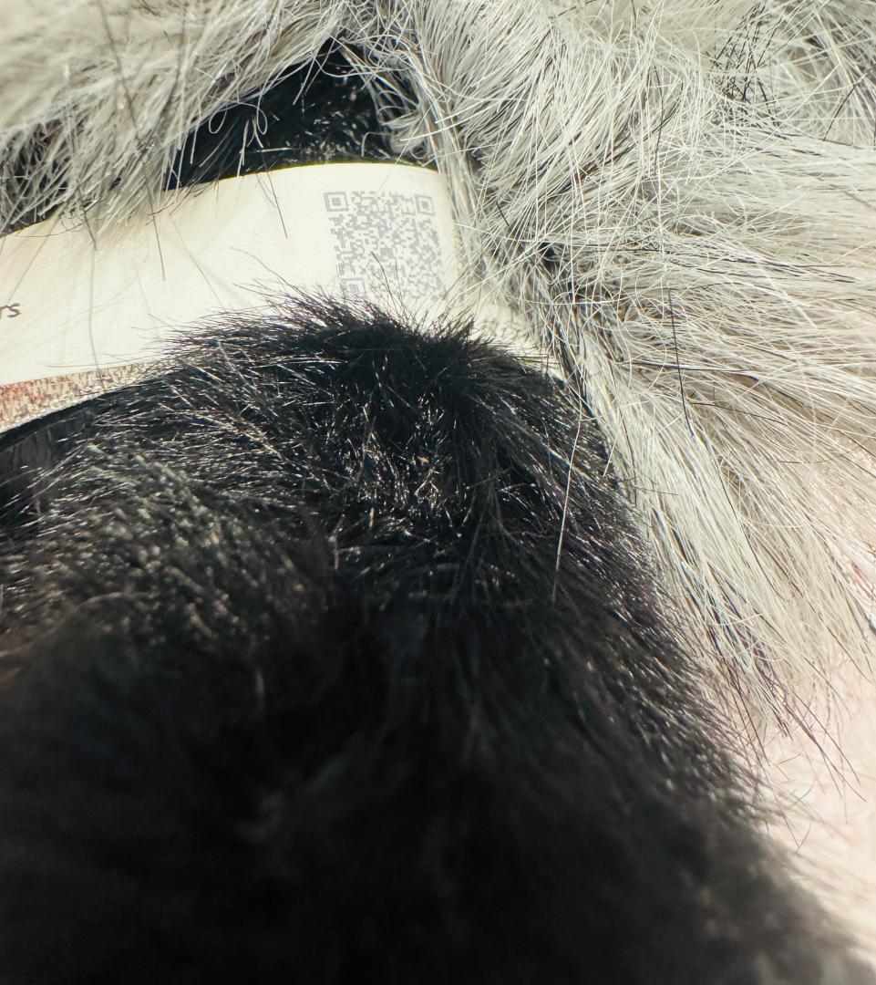 【正規品】SKULLPANDA You Found Me！ シークレット