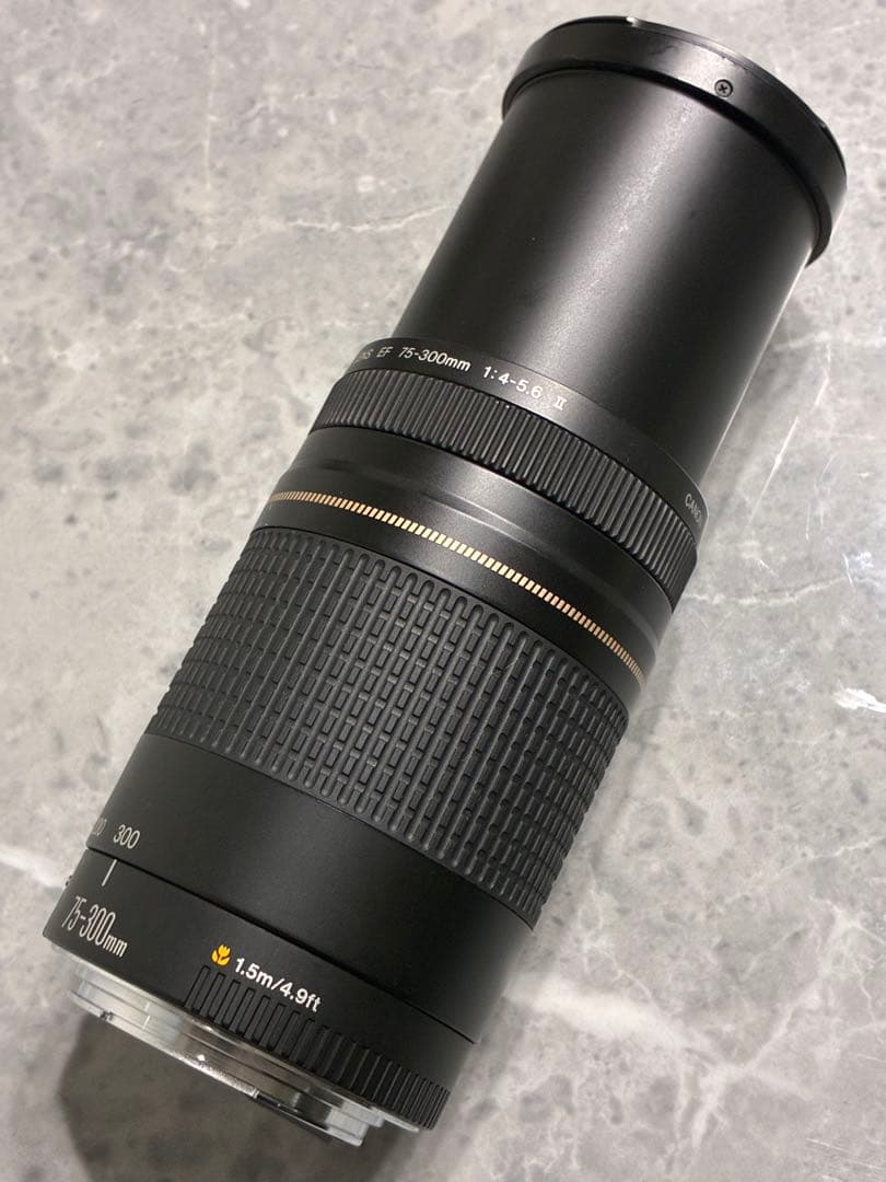 ⭐️外観美品⭐️Canon EF 75-300mm F/4-5.6 II USM
